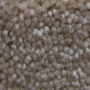 Camel Hair